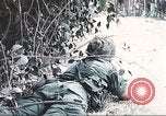Image of Tet Offensive Saigon Vietnam, 1968, second 27 stock footage video 65675062789