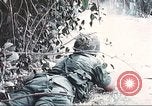 Image of Tet Offensive Saigon Vietnam, 1968, second 29 stock footage video 65675062789