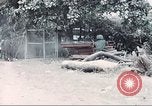 Image of Tet Offensive Saigon Vietnam, 1968, second 35 stock footage video 65675062789