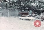 Image of Tet Offensive Saigon Vietnam, 1968, second 36 stock footage video 65675062789