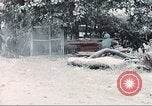 Image of Tet Offensive Saigon Vietnam, 1968, second 37 stock footage video 65675062789
