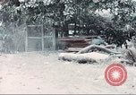 Image of Tet Offensive Saigon Vietnam, 1968, second 38 stock footage video 65675062789