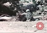 Image of Tet Offensive Saigon Vietnam, 1968, second 39 stock footage video 65675062789