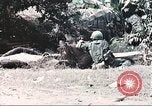 Image of Tet Offensive Saigon Vietnam, 1968, second 43 stock footage video 65675062789