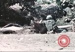 Image of Tet Offensive Saigon Vietnam, 1968, second 44 stock footage video 65675062789