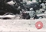 Image of Tet Offensive Saigon Vietnam, 1968, second 47 stock footage video 65675062789