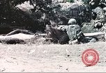 Image of Tet Offensive Saigon Vietnam, 1968, second 48 stock footage video 65675062789