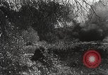 Standbild Armee Fotografen europäische Theater, 1944, aus Sekunde 15 historischem Filmmaterial Videoclip 65675062791
