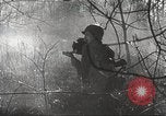Standbild Armee Fotografen europäische Theater, 1944, aus Sekunde 34 historischem Filmmaterial Videoclip 65675062791