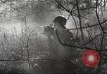 Standbild Armee Fotografen europäische Theater, 1944, aus Sekunde 35 historischem Filmmaterial Videoclip 65675062791