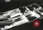 Standbild Armee Fotografen United States USA, 1944, aus Sekunde 3 historischem Filmmaterial Videoclip 65675062793