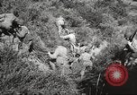 Image of First Motion Picture Unit Culver City California USA, 1944, second 38 stock footage video 65675062803