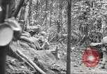 Image of U.S. troops in combat zones watch movies in World War II Pacific theater, 1943, second 37 stock footage video 65675062808
