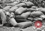 Image of U.S. troops in combat zones watch movies in World War II Pacific theater, 1943, second 38 stock footage video 65675062808