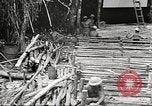 Image of U.S. troops in combat zones watch movies in World War II Pacific theater, 1943, second 57 stock footage video 65675062808