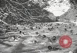 Image ARMÉE Forces de service United States USA, 1944, de la seconde 10 séquences d'archives historiques vidéo 65675062821