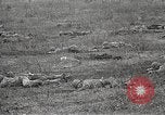 Image ARMÉE Forces de service United States USA, 1944, de la seconde 30 séquences d'archives historiques vidéo 65675062821