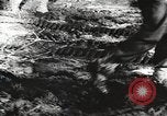 Image of Pentagon messenger Arlington Virginia USA, 1944, second 21 stock footage video 65675062827