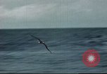 Image of Hannibal Victory ship Philippine Sea, 1945, second 6 stock footage video 65675062871