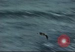 Image of Hannibal Victory ship Philippine Sea, 1945, second 8 stock footage video 65675062871