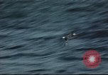 Image of Hannibal Victory ship Philippine Sea, 1945, second 9 stock footage video 65675062871