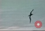 Image of Hannibal Victory ship Philippine Sea, 1945, second 10 stock footage video 65675062871