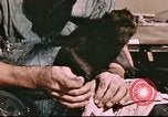 Image of Hannibal Victory ship Pacific Ocean, 1945, second 15 stock footage video 65675062873