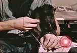 Image of Hannibal Victory ship Pacific Ocean, 1945, second 16 stock footage video 65675062873