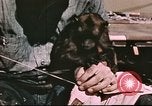 Image of Hannibal Victory ship Pacific Ocean, 1945, second 18 stock footage video 65675062873