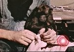 Image of Hannibal Victory ship Pacific Ocean, 1945, second 19 stock footage video 65675062873