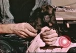 Image of Hannibal Victory ship Pacific Ocean, 1945, second 20 stock footage video 65675062873