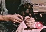 Image of Hannibal Victory ship Pacific Ocean, 1945, second 21 stock footage video 65675062873