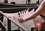 Image of Hannibal Victory ship Pacific Ocean, 1945, second 60 stock footage video 65675062873