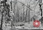 Image of weather bureau United States USA, 1945, second 36 stock footage video 65675062892