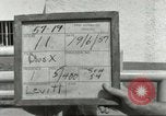 Image of 287th Military Police Company Berlin Germany, 1957, second 4 stock footage video 65675062913