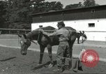 Standbild 287 Military Police Company Berlin Deutschland, 1957, aus Sekunde 7 historischem Filmmaterial Videoclip 65675062914