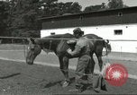 Standbild 287 Military Police Company Berlin Deutschland, 1957, aus Sekunde 8 historischem Filmmaterial Videoclip 65675062914