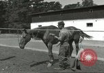 Standbild 287 Military Police Company Berlin Deutschland, 1957, aus Sekunde 9 historischem Filmmaterial Videoclip 65675062914