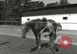 Standbild 287 Military Police Company Berlin Deutschland, 1957, aus Sekunde 14 historischem Filmmaterial Videoclip 65675062914