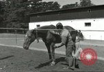 Standbild 287 Military Police Company Berlin Deutschland, 1957, aus Sekunde 15 historischem Filmmaterial Videoclip 65675062914
