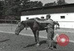 Standbild 287 Military Police Company Berlin Deutschland, 1957, aus Sekunde 16 historischem Filmmaterial Videoclip 65675062914