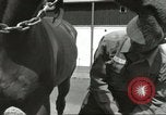 Standbild 287 Military Police Company Berlin Deutschland, 1957, aus Sekunde 17 historischem Filmmaterial Videoclip 65675062914