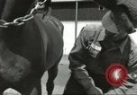 Standbild 287 Military Police Company Berlin Deutschland, 1957, aus Sekunde 18 historischem Filmmaterial Videoclip 65675062914