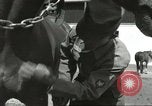 Standbild 287 Military Police Company Berlin Deutschland, 1957, aus Sekunde 19 historischem Filmmaterial Videoclip 65675062914