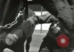 Standbild 287 Military Police Company Berlin Deutschland, 1957, aus Sekunde 23 historischem Filmmaterial Videoclip 65675062914