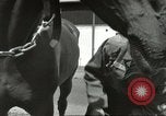 Standbild 287 Military Police Company Berlin Deutschland, 1957, aus Sekunde 24 historischem Filmmaterial Videoclip 65675062914
