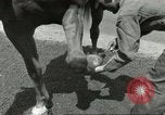 Standbild 287 Military Police Company Berlin Deutschland, 1957, aus Sekunde 30 historischem Filmmaterial Videoclip 65675062914