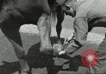 Standbild 287 Military Police Company Berlin Deutschland, 1957, aus Sekunde 31 historischem Filmmaterial Videoclip 65675062914