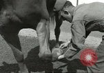 Standbild 287 Military Police Company Berlin Deutschland, 1957, aus Sekunde 32 historischem Filmmaterial Videoclip 65675062914