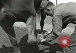 Standbild 287 Military Police Company Berlin Deutschland, 1957, aus Sekunde 33 historischem Filmmaterial Videoclip 65675062914